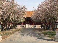 -东华门大街小区