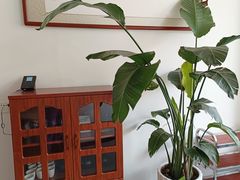 -鹈鹕素食餐厅自助餐部(正阳街店)