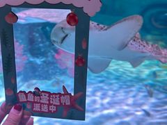 -沈阳海洋探索中心