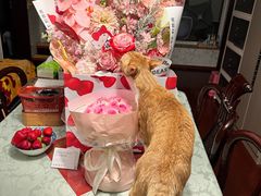 -新荟城(望京店)