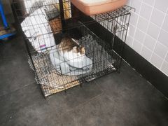 -王裕興肉莊(南禅寺店)