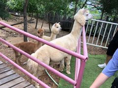 -汕尾铜鼎山旅游区