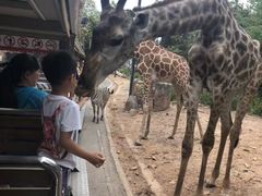 -清迈夜间动物园