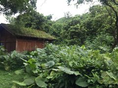 -福建鲤鱼洲酒店