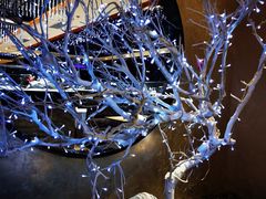 -红辣椒·川菜·火锅(张杨路店)