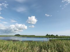 -黑龙江扎龙生态旅游区