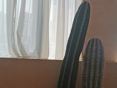 -BURANO布拉诺精选店(双流明城店)