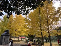 -渔遭殃鱼馆(黄桷垭店)