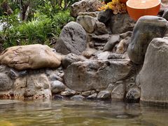 -湖泉半山温泉(湖泉生态园)