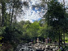 -玉渡山自然风景区