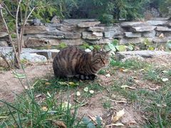 -北京大学百年讲堂