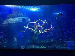 -多彩贵州城极地海洋世界