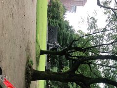 -上海市龙华烈士陵园