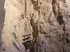 -汉景帝阳陵博物院