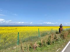 -青海湖国家重点风景名胜区