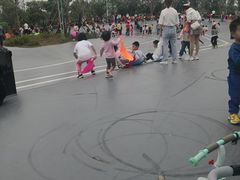 -王借岗森林公园