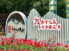 -红梅公园