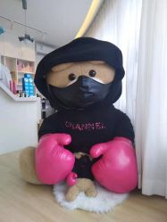 -E.L.K造型momopark店