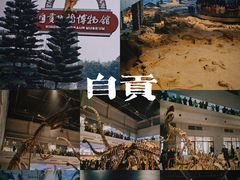 -自贡恐龙博物馆