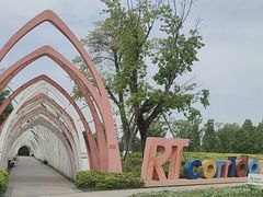 -白鹭湾湿地公园