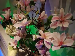 -庭院江南菜•烤鸭•非遗传承(丰台总部基地店)