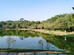 -东莞植物园