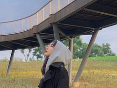 -白鹭湾湿地公园