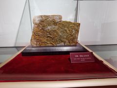 -武汉达临性学生命文化博物馆