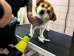 -FAELING PETS美天灵宠物(富力广场店)