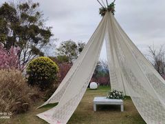 -福建鲤鱼洲酒店