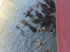 -山西乌金山旅游区