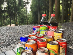 -重庆睡佛山森林公园