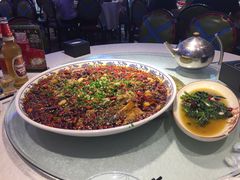 -新概念来凤鱼(璧山店)