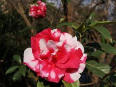 -昆明市金殿名胜区