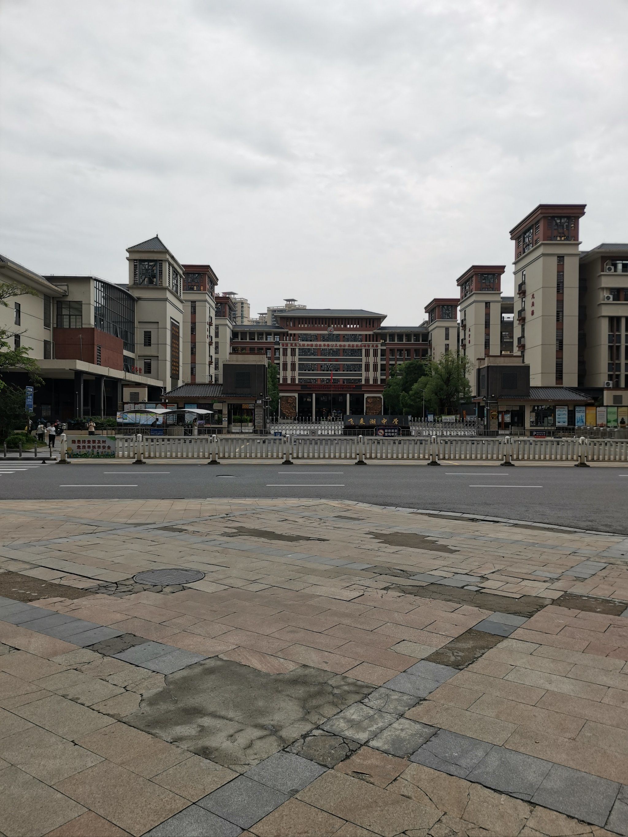 天天领红包老树依旧苍翠,教室窗边少了稚