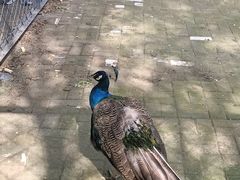 -长白岛森林公园