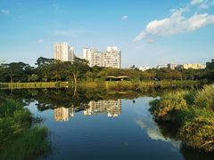 -福田红树林生态公园