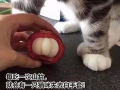 -魏家凉皮(博水商务大厦店)