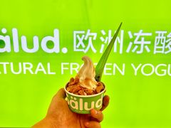 -Salud撒露欧洲冻酸奶(五道口购物中心店)