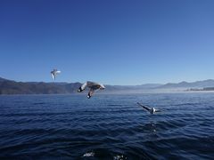 -丽江泸沽湖景区