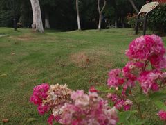 -汤山公园