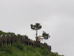 -莲宝叶则景区