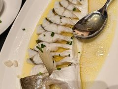 -新天明砂锅鱼头煲