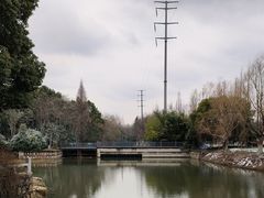 -昆山城市生态森林公园