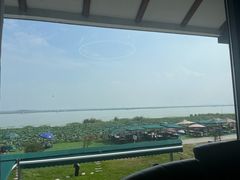 -七的湖·晚芳亭·阳澄湖农家菜·大闸蟹(莲花岛店)