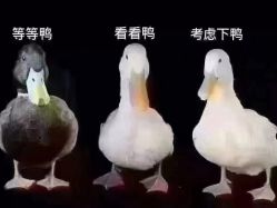 -靓芙泉祛痘.科技美肤连锁