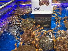 -盒马鲜生(枣园路店)