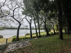 -南宁南湖公园