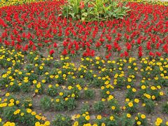 景点-长春市南湖公园