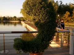 -廊坊文化艺术中心